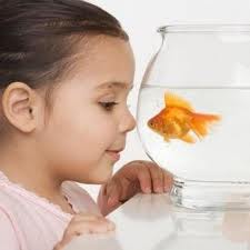 с-рыбками-чем-он-полезен-для-ребенка